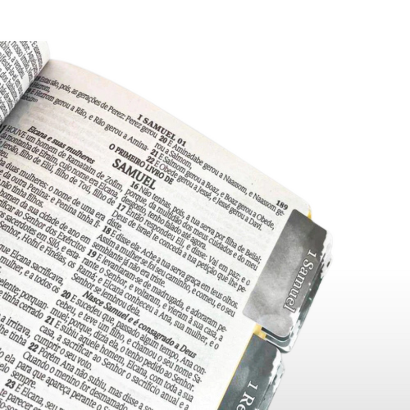 Bíblia Sagrada Com Abas Adesivas Leão Dourado Yeshua
